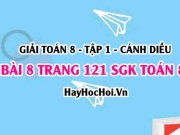 Giải bài 8 trang 121 Toán 8 Tập 1 SGK Cánh Diều